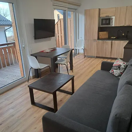 Apartman - Malé Lipno Černá v Pošumaví