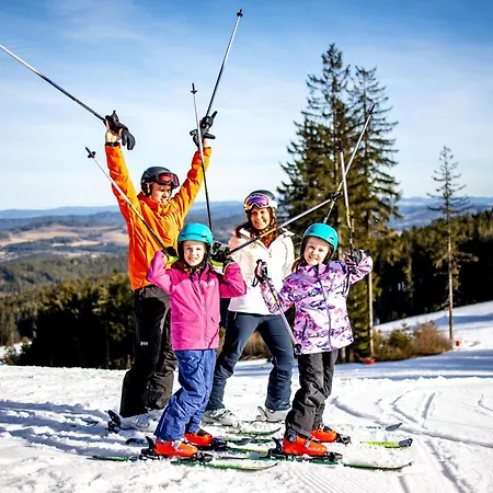 - Malé Lipno * Černá v Pošumaví