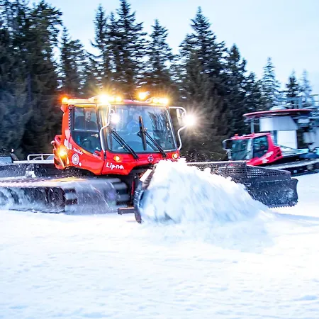Apartman - Malé Lipno Černá v Pošumaví