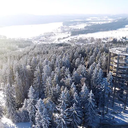Apartman - Malé Lipno Černá v Pošumaví