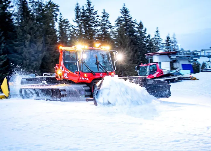 Apartmán - Malé Lipno Černá v Pošumaví
