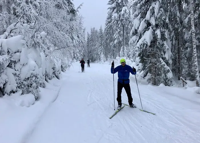 Apartmán - Malé Lipno