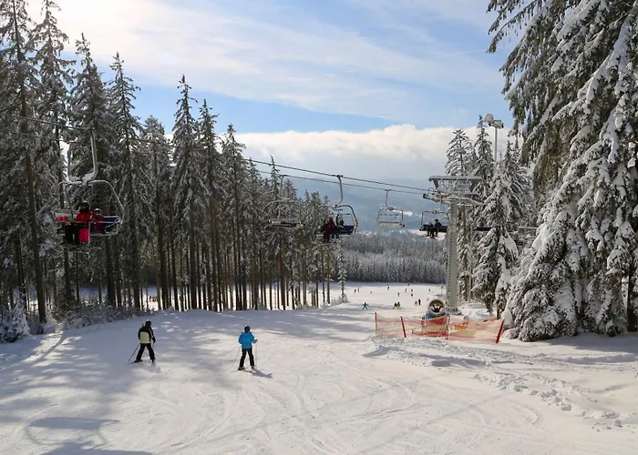 Apartmán - Malé Lipno Černá v Pošumaví