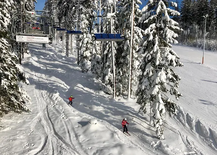 - Male Lipno Černá v Pošumaví